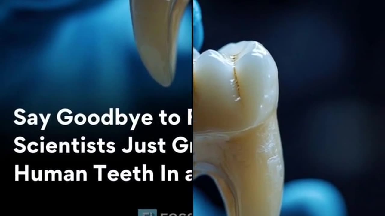 Scientists have grown human teeth for the first time