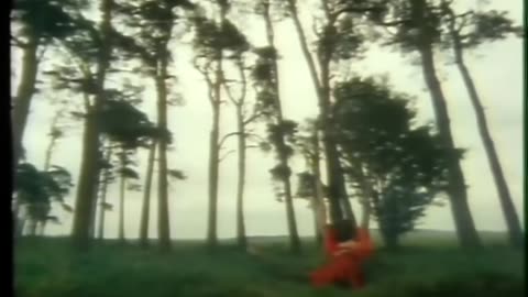 Kate Bush - Wuthering Heights - Official Music Video - Version 2