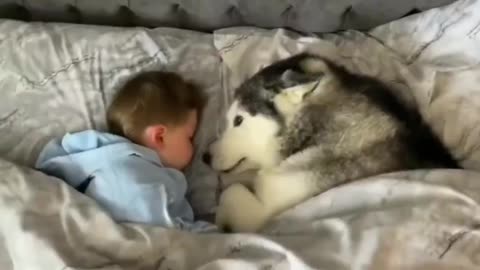 Dog refuses to get out of bed then proceeds to fall asleep looking after baby.. 😊