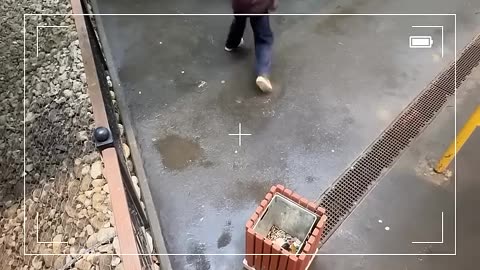 Women | Best self defense performance by @_.tagievaa._ , @stuntwork