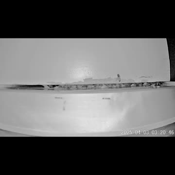 A warm, active night