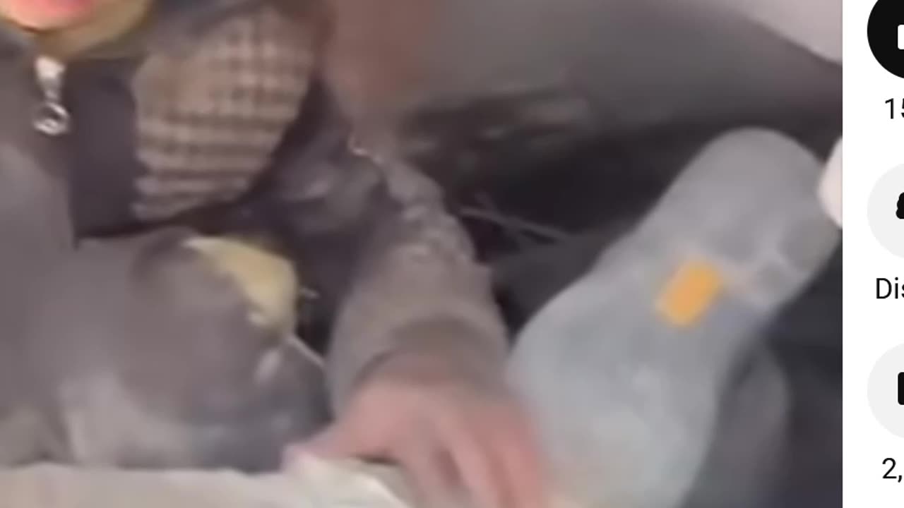 PALESTINE