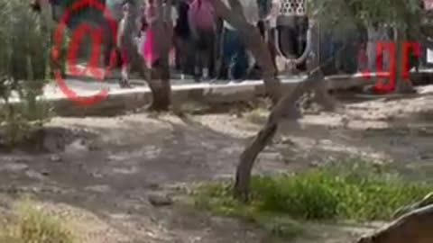 Μπαγκλαντεσιανή μαφία κάτω από την Ακρόπολη