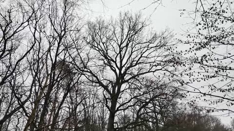 nie zmieniło się nic tylko moje nastawienie...