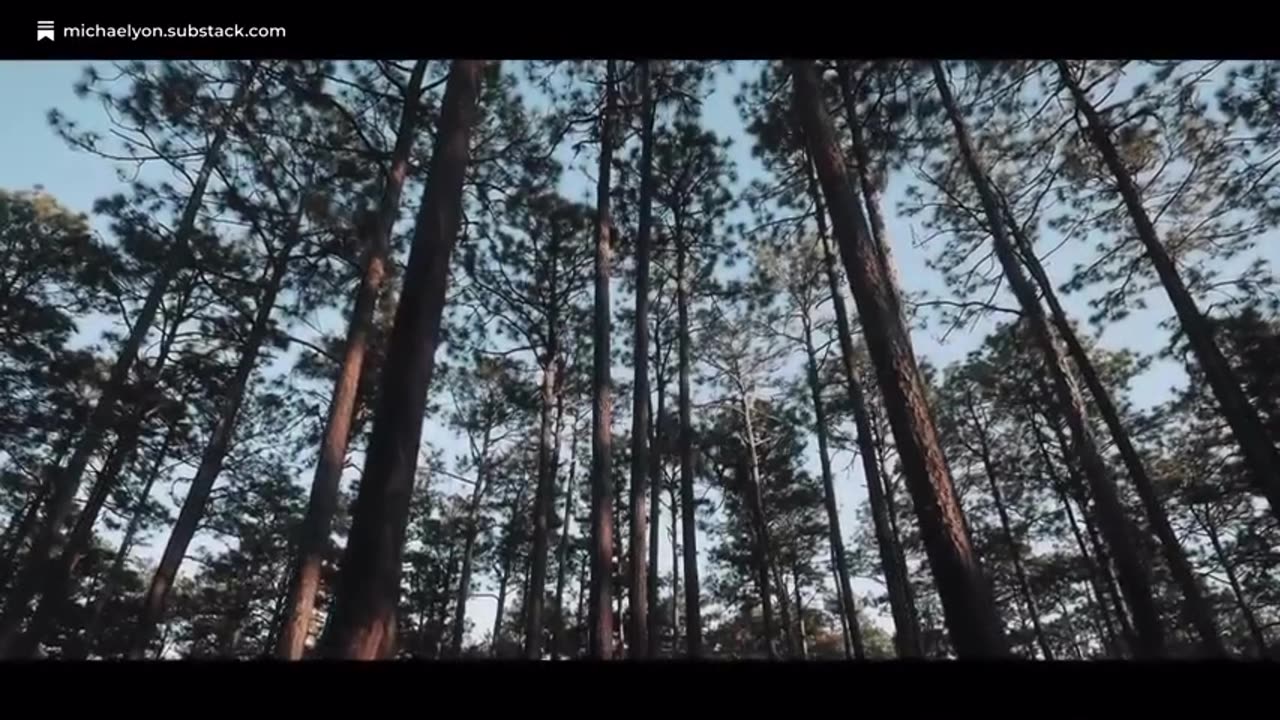 Charlie Kirk Psyop - Confusion used as Weapon