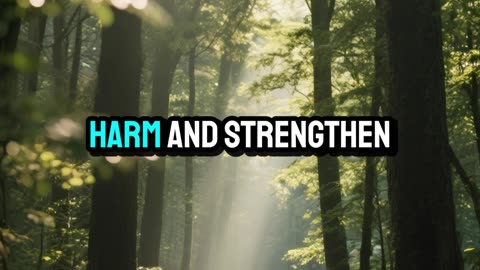 Morning Prayer for Calm Strength