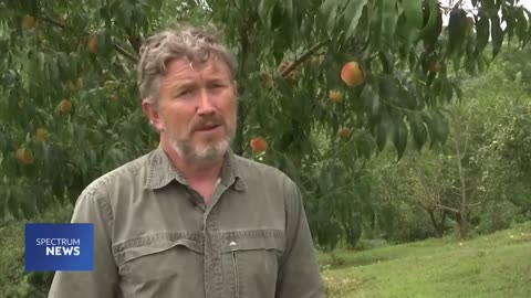 Why Rep. Thomas Massie prefers living off grid