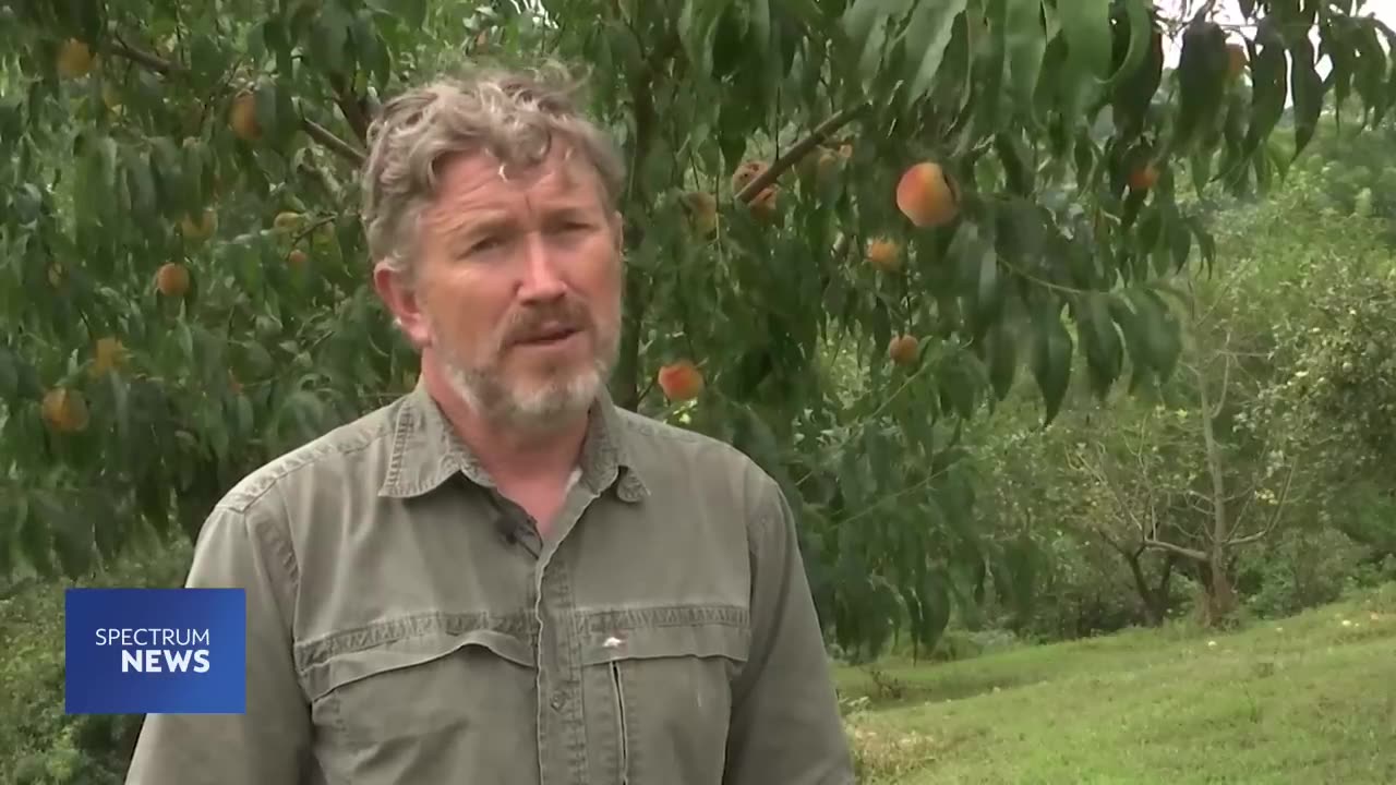 Why Rep. Thomas Massie prefers living off grid