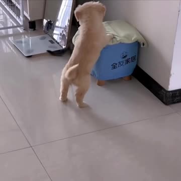 Kitten had a good run but just couldn’t close 😊