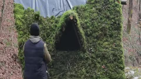 Building a Secret Winter Shelter in the Wild!