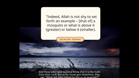 Verses