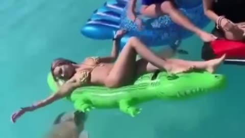 Sea Turtle vs. Inflatable Alligator