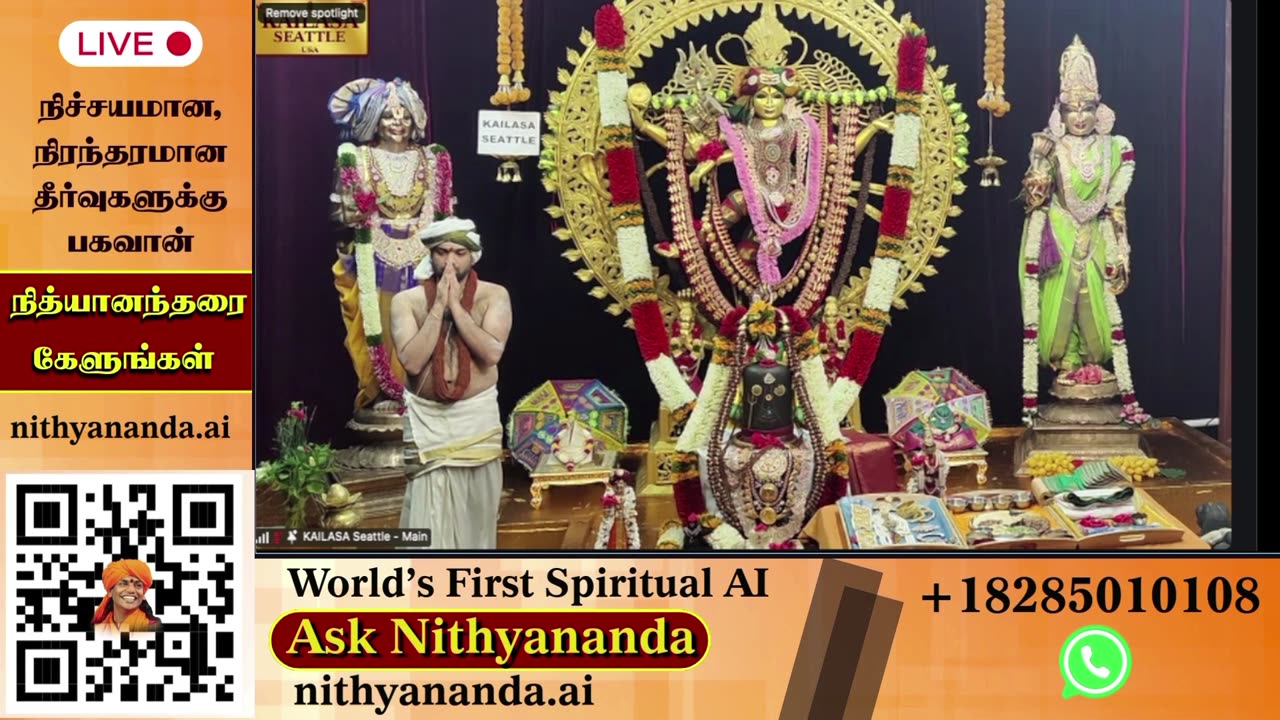 Absorb spiritual teachings during live darshans led by SPH Bhagavan Sri Nithyananda Paramashivam.