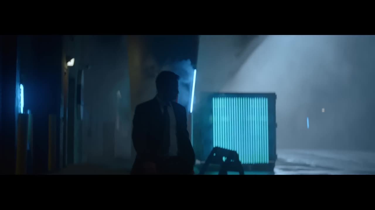 AURORA - Animal