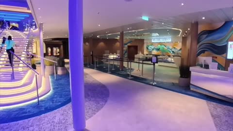 Deck 5 Essentials | Guest Services on the All-New Star of the Seas