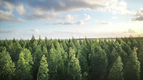 God's Touch - Anxiety (Jeff Osburn)