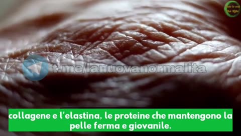 LA VERITÀ SULLO ZUCCHERO