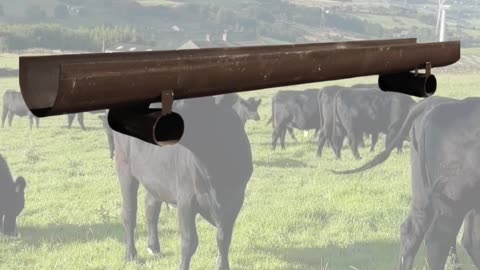 American-Made Feed Bunks