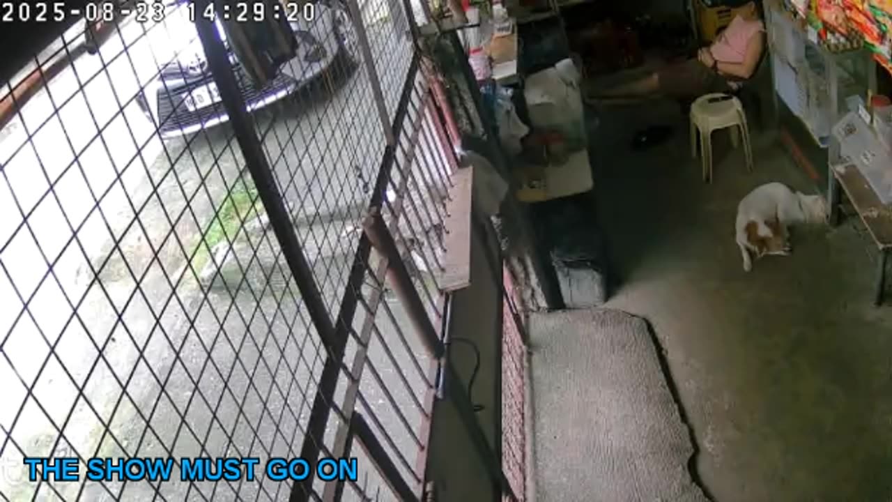 Mitsubishi Xpander 2019 Live