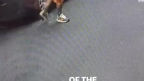 🚨🤦‍♂️ This Thief's Excuse for Stealing a Phone is OUTRAGEOUS! | FunFM