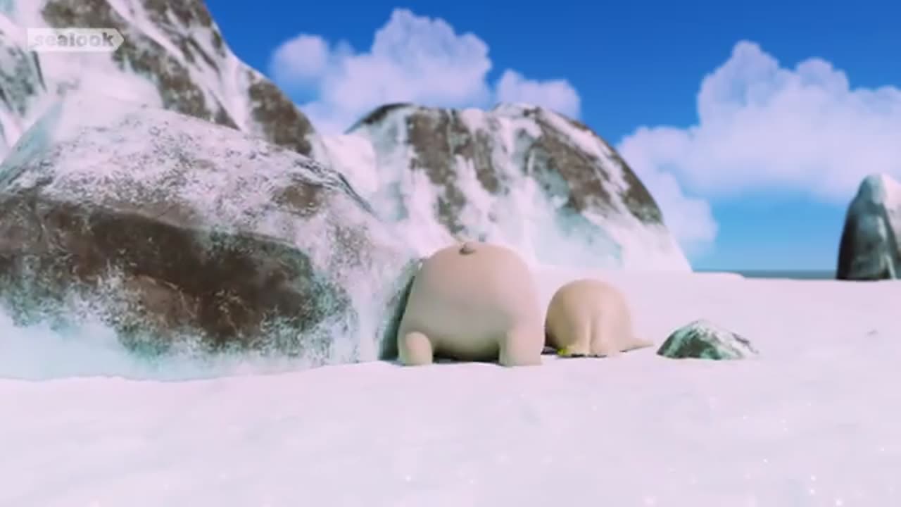 BABY POLAR BEAR MEETS🐻❄️