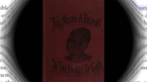 The Negr0 a Beast or in the Imagine of God. Chapter 8. Part 1.