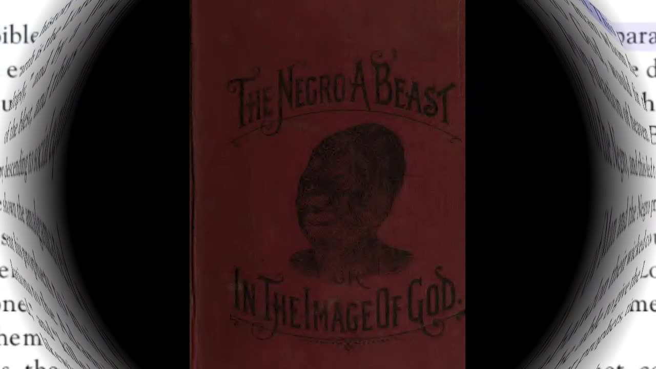 The Negr0 a Beast or in the Imagine of God. Chapter 8. Part 1.