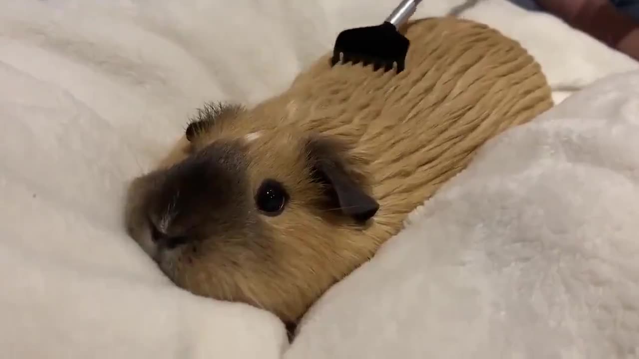 ❤