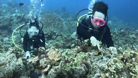 Free A.I. Video Clips