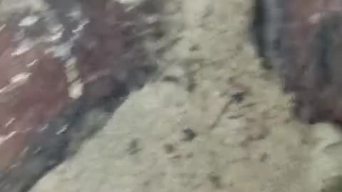 Russian Soldiers Have Been Locked in a Pit for 20+ Days Due to "Allegations" of Refusing Orders