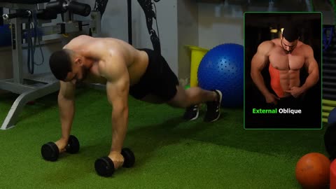 Abs Workouts - Perfect Workouts Best Home Workout Video 💪