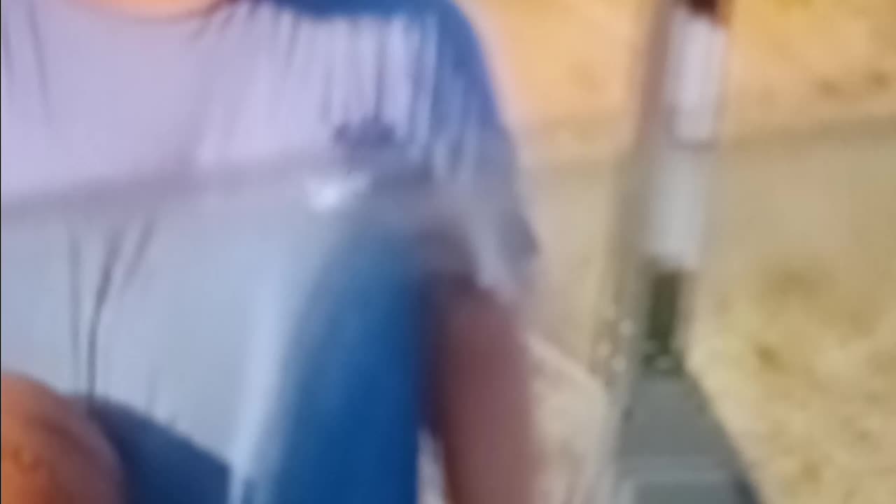 The great Adam Sandler caught shooting hoops