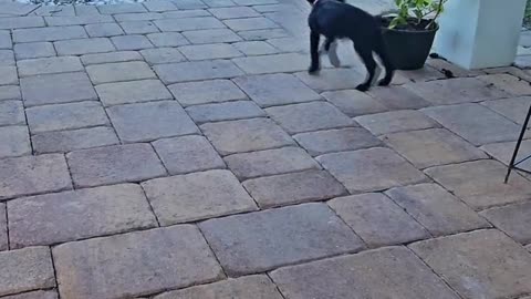 🤯👶 The Perfect Yin and Yang Moment Between Brother and Sister! | FunFM