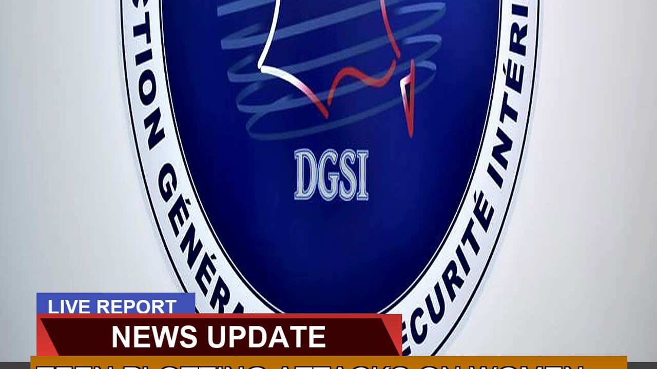 Teen Plotting Attacks on Women Charged in Frances