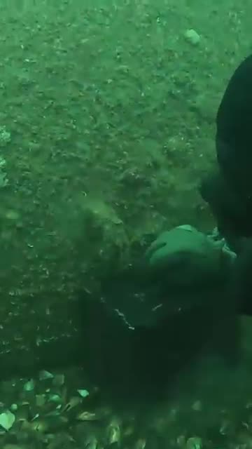 Ukrainian Underwater Ordinance Disposal Unit Clear Mines Outside of Odessa