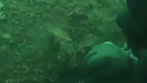 Ukrainian Underwater Ordinance Disposal Unit Clear Mines Outside of Odessa