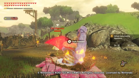 Hyrule Warriors Age Of Calamity Guerreros De Hyrule La Era De Calamidad Great Fairy Training