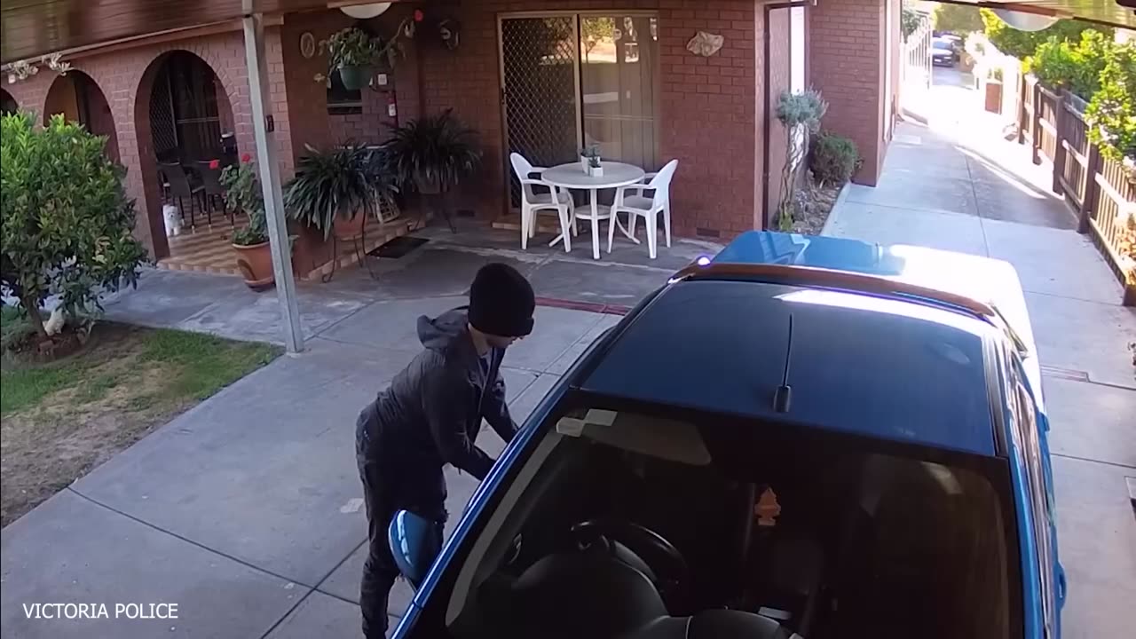 When_Your_Dog_Becomes_a_Trusted_Bodyguard_-__Cute_Moments_Dog_and_Human