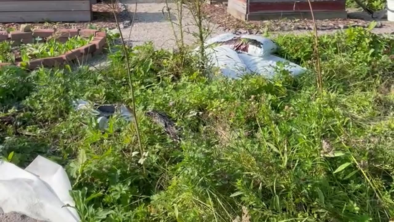 Plan For The Weird Shaped Area