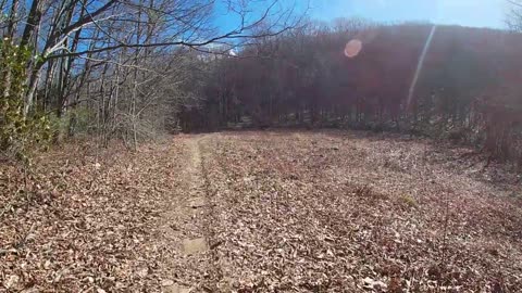 Backpacking to a mountain pond/Mt. Rogers NRA