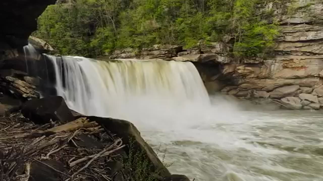 3M TV | Relaxing Ocean Waves & Forest Birds 🌊🐦 Gentle Water Stream Meditation Sounds