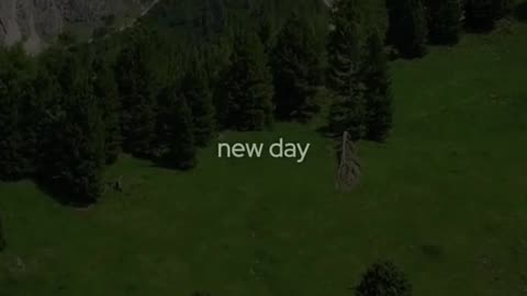 🕊️❤️ Powerful Prayer | Praising Jesus with Faith | InGodWeTrustDaily