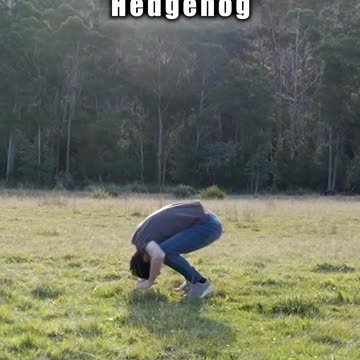 How different animals fight. (with emojis)