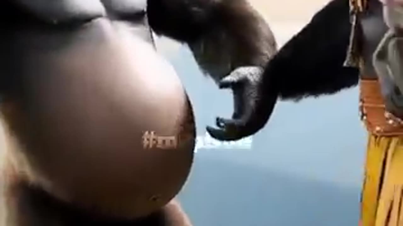 Apes having affairs that some people may not have