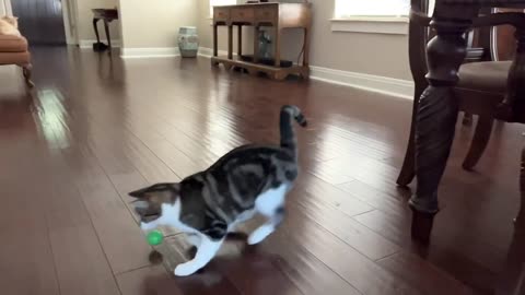 Couch Bounce
