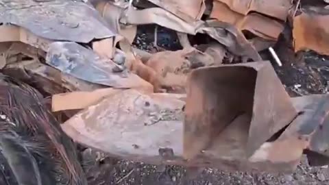 🚗💥 Ukraine Russia War | Russian POV: Canadian Armored Vehicle Torched on Donetsk Front | RCF