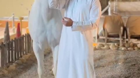 تبارك الله