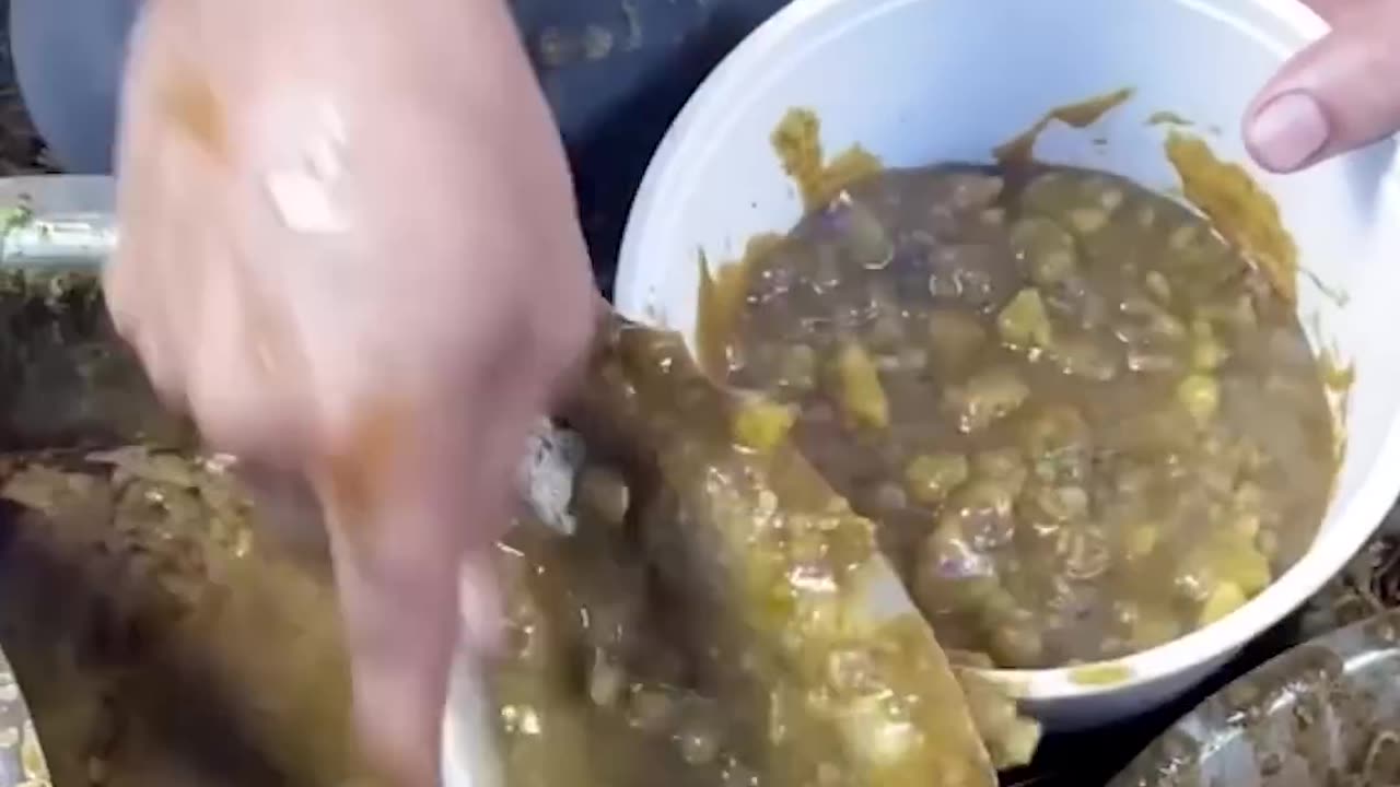 NASTY INDIAN FOOD
