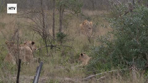 The Blue Planet’s Hidden Geometry