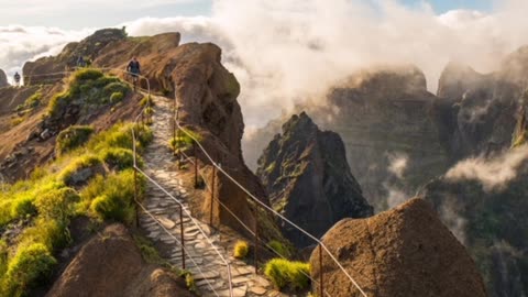 Nature beautiful view